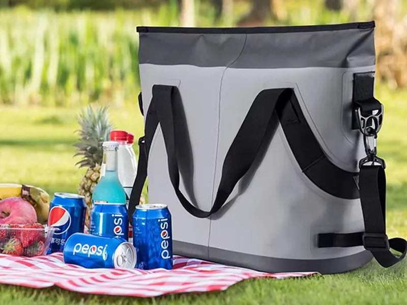 دور أكياس الثلج في التخييم